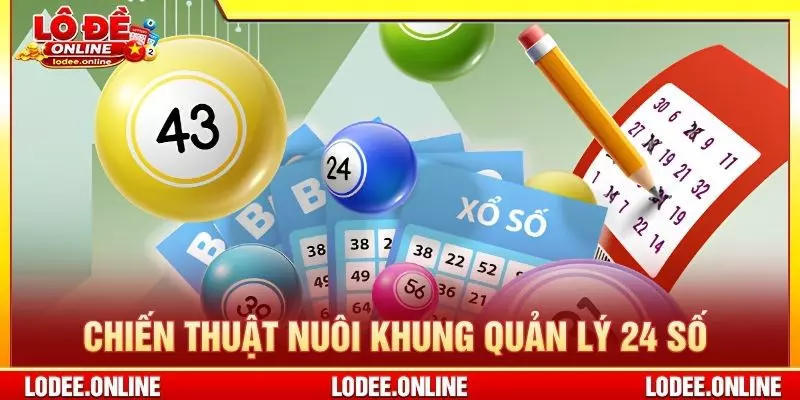 Chiến thuật nuôi khung quản lý 24 số