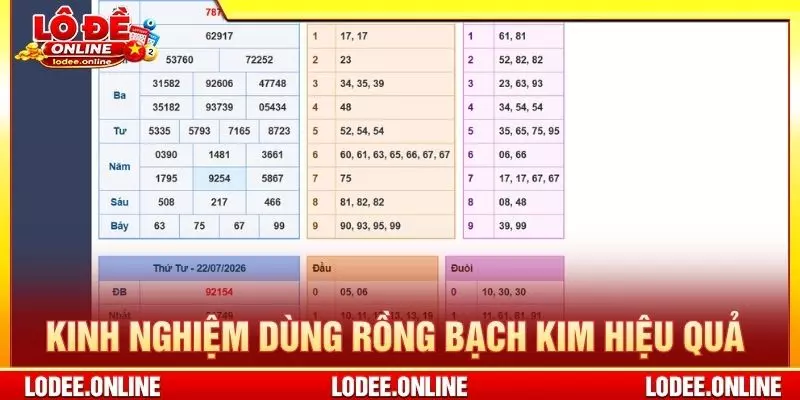 Kinh nghiệm sử dụng rồng bạch kim hiệu quả