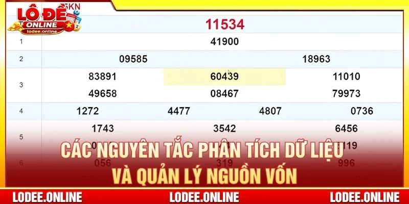 Các nguyên tắc phân tích dữ liệu và quản lý nguồn vốn