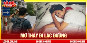 Mơ Thấy Đi Lạc Đường Giải Mã Ý Nghĩa Và Điềm Báo Chi Tiết
