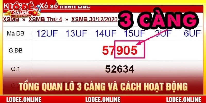 Tổng quan Lô 3 Càng và cách hoạt động